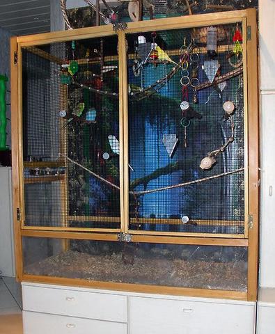 Budgetfreundliche Vogelvoliere aus Ikea-Schränken gestalten Budgetfreundliche Vogelvoliere aus Ikea-Schränken gestalten