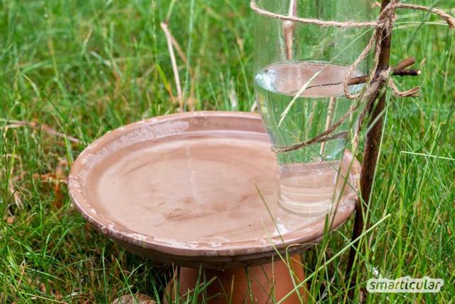 Günstige Alternativen: Vogeltränke selber bauen statt kaufen Günstige Alternativen: Vogeltränke selber bauen statt kaufen