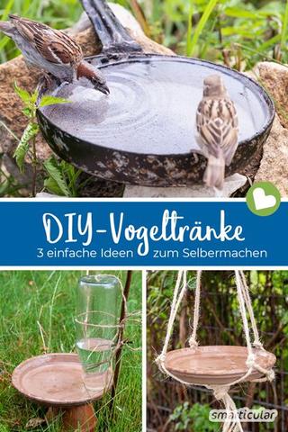 Vogeltränke selber machen: 3 einfache Ideen für den Garten Vogeltränke selber machen: 3 einfache Ideen für den Garten