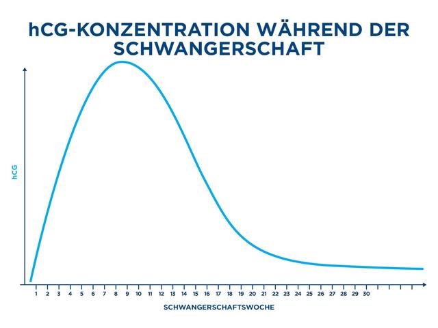 Der Beginn der HCG-Produktion in der Schwangerschaft Der Beginn der HCG-Produktion in der Schwangerschaft