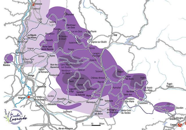 Genießen Sie die Lavendelblüte in der Provence - Wann ist die beste Zeit? Genießen Sie die Lavendelblüte in der Provence - Wann ist die beste Zeit?