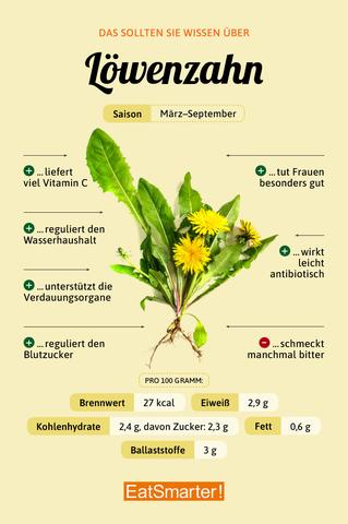 Die Merkmale der Löwenzahnblüten: Ein Blick auf ihre Struktur und Zusammensetzung Die Merkmale der Löwenzahnblüten: Ein Blick auf ihre Struktur und Zusammensetzung