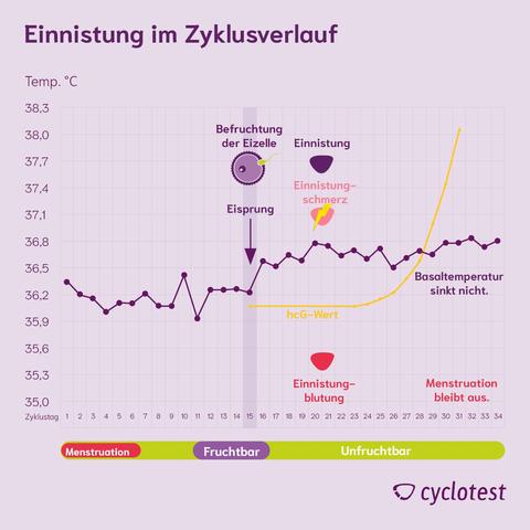 Unterstütze die Einnistung für eine erfolgreiche Schwangerschaft - Tipps und Infos hier! Unterstütze die Einnistung für eine erfolgreiche Schwangerschaft - Tipps und Infos hier!