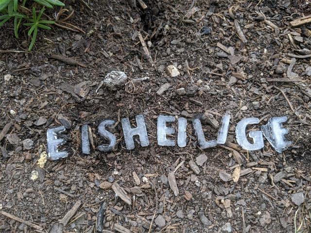 Gartenfreuden nach den Eisheiligen: Ab wann kann man sicher pflanzen? Gartenfreuden nach den Eisheiligen: Ab wann kann man sicher pflanzen?