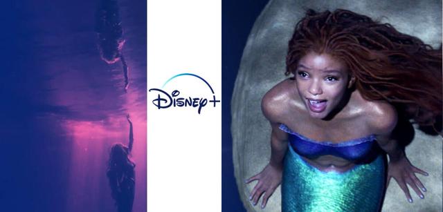 Erscheinungsdatum für Arielle auf Disney Plus: Wann kann man den Film streamen? Erscheinungsdatum für Arielle auf Disney Plus: Wann kann man den Film streamen?