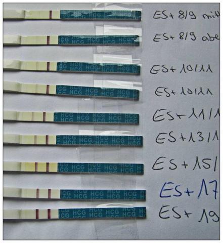 Erfahrungen mit dem Zeitpunkt des positiven Schwangerschaftstests Erfahrungen mit dem Zeitpunkt des positiven Schwangerschaftstests