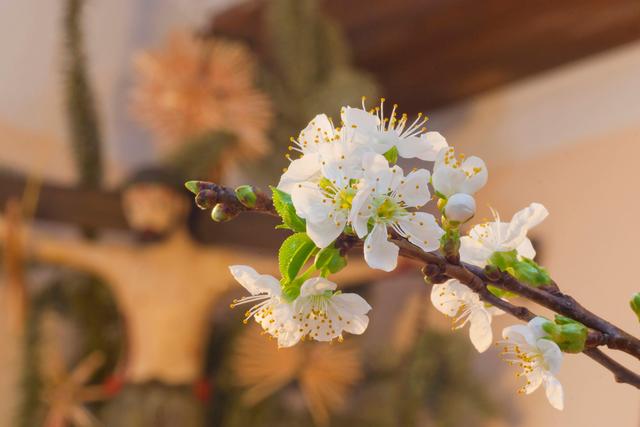 Barbaratag 2023: Das Datum und die Geschichte hinter dem Feiertag Barbaratag 2023: Das Datum und die Geschichte hinter dem Feiertag