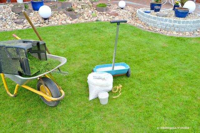 Wann ist der beste Zeitpunkt, um den Rasen im Frühling zu düngen? Wann ist der beste Zeitpunkt, um den Rasen im Frühling zu düngen?