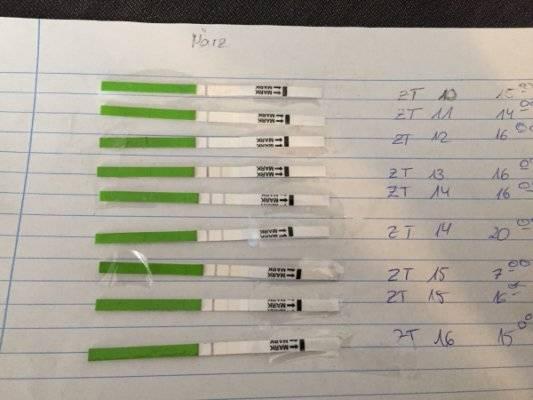 Eisprung präzise bestimmen: Wie finde ich heraus, wann der Ovulationstest positiv ist?