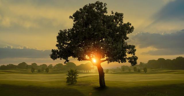 Deutschland, Österreich, Schweiz: Wo geht die Sonne zuerst auf? - Unterschiede bei Sonnenaufgangszeiten in verschiedenen Städten