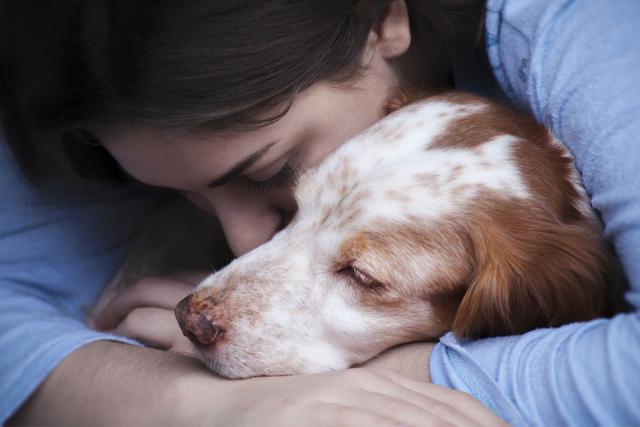Wie erkennt man, wann der Hund eingeschläfert werden sollte? Wie erkennt man, wann der Hund eingeschläfert werden sollte?