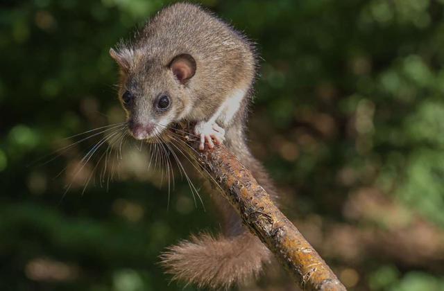 Siebenschläfertag: Was sagen Bauernregeln und Meteorologie dazu? Siebenschläfertag: Was sagen Bauernregeln und Meteorologie dazu?