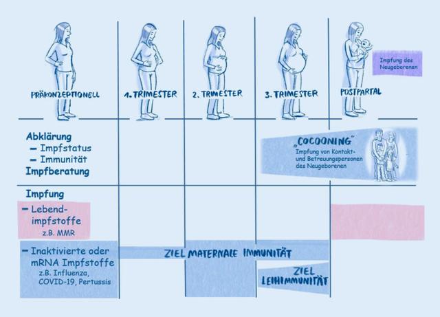 Impfstrategien gegen Keuchhusten: Bedeutung der Impfung während der Schwangerschaft Impfstrategien gegen Keuchhusten: Bedeutung der Impfung während der Schwangerschaft