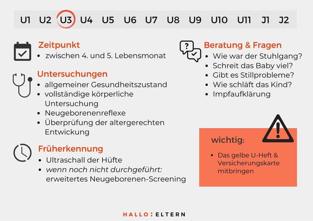 Was wird bei der U3 Untersuchung nach der Geburt untersucht? Was wird bei der U3 Untersuchung nach der Geburt untersucht?