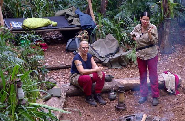 "Finale im Dschungelcamp 2023: Uhrzeit und Datum bekanntgegeben" "Finale im Dschungelcamp 2023: Uhrzeit und Datum bekanntgegeben"