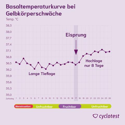 Gelbkörperschwäche und Frühschwangerschaftstests: Ursachen, Symptome und Behandlung Gelbkörperschwäche und Frühschwangerschaftstests: Ursachen, Symptome und Behandlung
