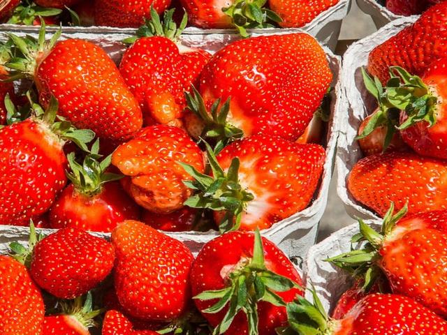 Wann beginnt und endet die Erdbeerzeit in Deutschland?