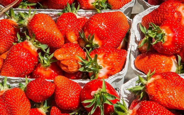 Nachhaltig genießen: Die optimale Zeit für frische Erdbeeren.