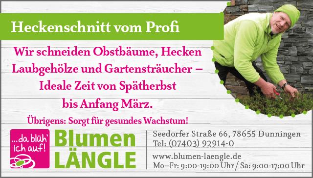 Ausnahmegenehmigungen und optimale Pflege: Wann darf man Hecken schneiden? Ausnahmegenehmigungen und optimale Pflege: Wann darf man Hecken schneiden?