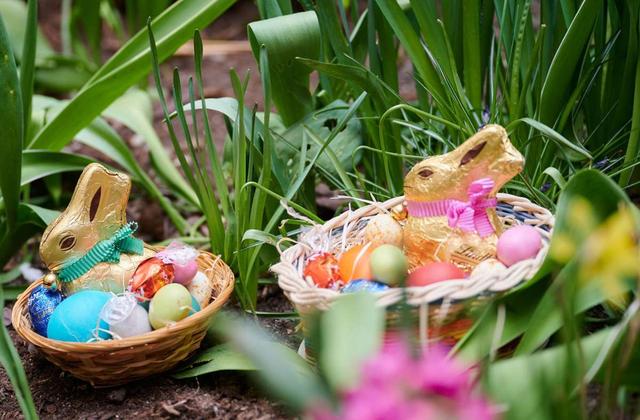 In welchem Zeitraum wird normalerweise nach Ostereiern gesucht?