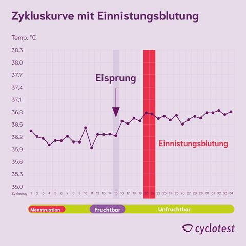 Einnistungsblutung oder Menstruation: Der genaue Zeitpunkt der Blutung Einnistungsblutung oder Menstruation: Der genaue Zeitpunkt der Blutung