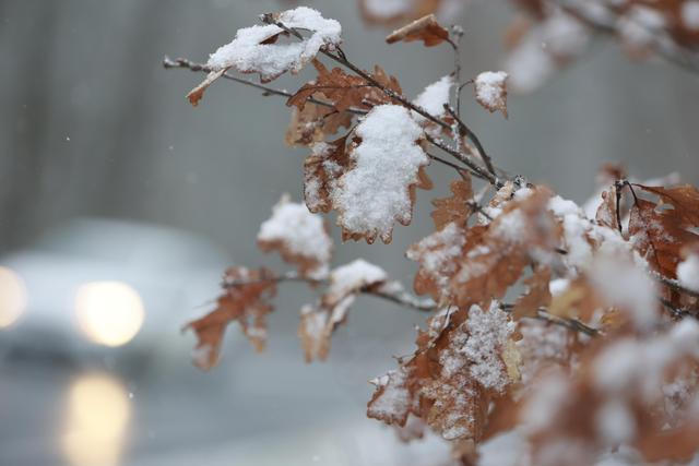 Klimawandel im Blick: Wie wird der Frühling 2023 aussehen? Klimawandel im Blick: Wie wird der Frühling 2023 aussehen?