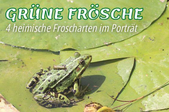 Wann findet die Laichzeit bei Fröschen statt?