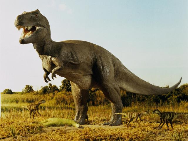 Das Erdmittelalter: Eine Ära der Dinosaurier