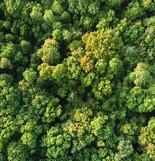 Parcello: Wissen, wann dein UPS Paket ankommt und Bäume pflanzen! Parcello: Wissen, wann dein UPS Paket ankommt und Bäume pflanzen!