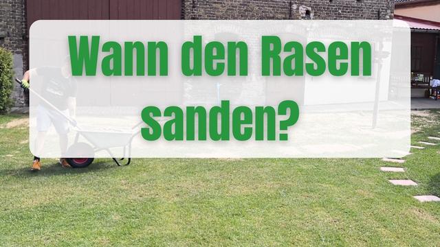 Die optimale Jahreszeit für das Sanden des Rasens Die optimale Jahreszeit für das Sanden des Rasens