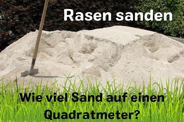 Wann sollten Sie Ihren Rasen sanden? Wann sollten Sie Ihren Rasen sanden?