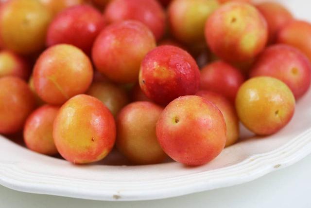Mirabellen ernten: Wann ist der beste Zeitpunkt für eine reiche Ernte? Mirabellen ernten: Wann ist der beste Zeitpunkt für eine reiche Ernte?