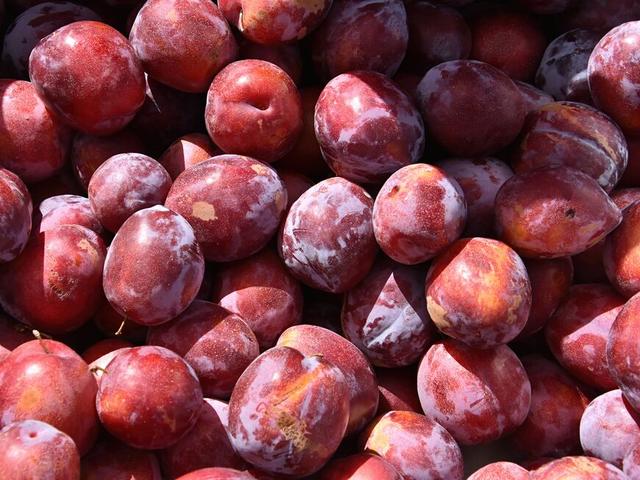 Lagerung und Verarbeitung: Was tun, wenn Pflaumen noch nicht ganz reif sind? Lagerung und Verarbeitung: Was tun, wenn Pflaumen noch nicht ganz reif sind?