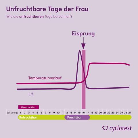 Berechnung der fruchtbaren Tage: Wie lange dauert es nach der Periode, bis man wieder fruchtbar ist?