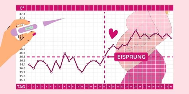 3. Basale Körpertemperatur und der Zeitpunkt des Temperaturabfalls vor der Periode 3. Basale Körpertemperatur und der Zeitpunkt des Temperaturabfalls vor der Periode