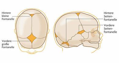 Fontanellen bei Babys: Wann sollten Eltern aufmerksam werden? Fontanellen bei Babys: Wann sollten Eltern aufmerksam werden?