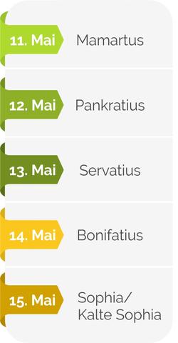 Die Eisheiligen: Wichtige Termine für den Start der Gartensaison