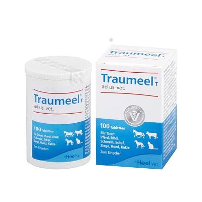 Ab wann kann man eine Wirkung von Traumeel bei Hunden erwarten?