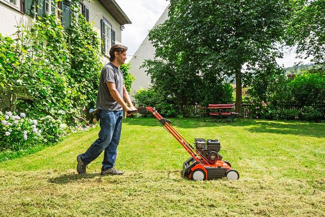 Wann sollte man den Boden bewässern, um das Austrocknen der Keimlinge zu vermeiden?