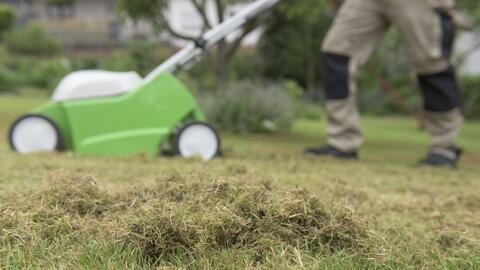 Tipps zur Bewässerung für gesunde Pflanzenkeimlinge