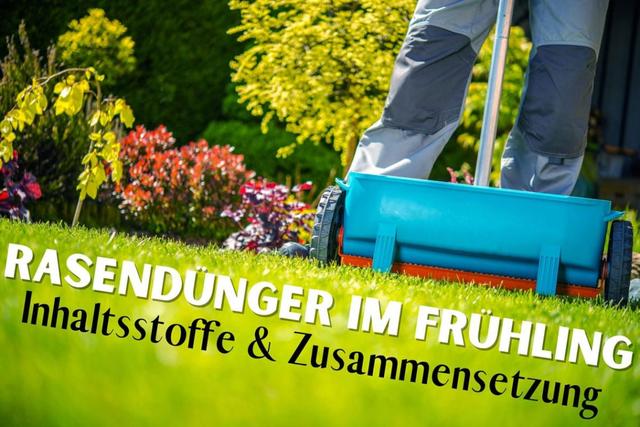 Rasendüngung im Frühjahr: Die richtige Zeit und Häufigkeit Rasendüngung im Frühjahr: Die richtige Zeit und Häufigkeit