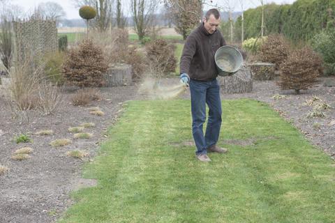 Expertentipps zur Düngung des Rasens im Frühjahr: Wann und wie oft? Expertentipps zur Düngung des Rasens im Frühjahr: Wann und wie oft?