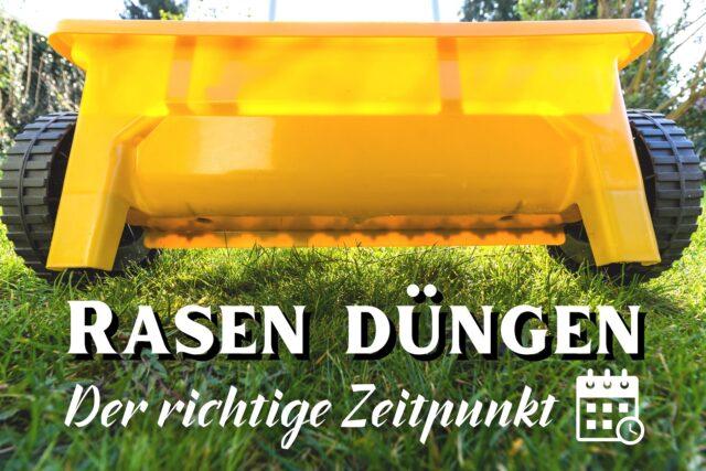 Wann und wie Sie Ihren Rasen düngen sollten Tipps für die richtige