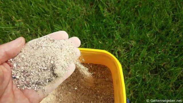 Die richtige Düngung für einen gesunden Rasen: Wann düngen? Die richtige Düngung für einen gesunden Rasen: Wann düngen?