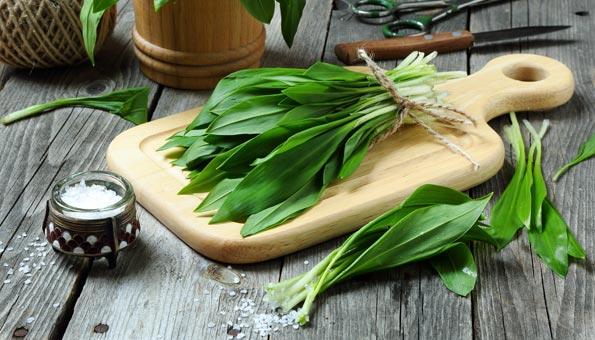 Bärlauch einfrieren oder einlegen? Praktische Tipps zur Aufbewahrung des Frühlingskrauts Bärlauch einfrieren oder einlegen? Praktische Tipps zur Aufbewahrung des Frühlingskrauts