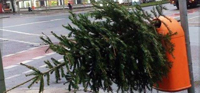 Berlin: Termine für die Entsorgung von Weihnachtsbäumen im Januar 2023 Berlin: Termine für die Entsorgung von Weihnachtsbäumen im Januar 2023