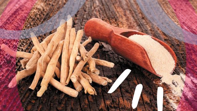 Ashwagandha: Ab wann spürt man die Wirkung? Ashwagandha: Ab wann spürt man die Wirkung?