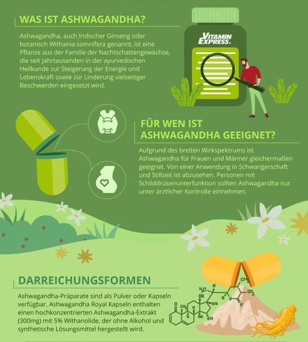 Ashwagandha Wirkung: Wann setzt die Wirkung ein? Ashwagandha Wirkung: Wann setzt die Wirkung ein?