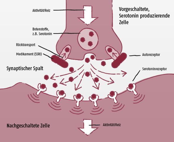 Wann tritt die Wirkung von Escitalopram 10 mg ein? Wann tritt die Wirkung von Escitalopram 10 mg ein?