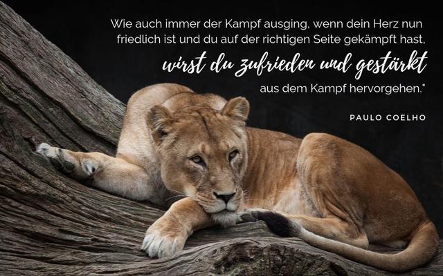 Warum behandelt er mich respektlos? Gründe und Lösungen für dieses Verhalten Warum behandelt er mich respektlos? Gründe und Lösungen für dieses Verhalten